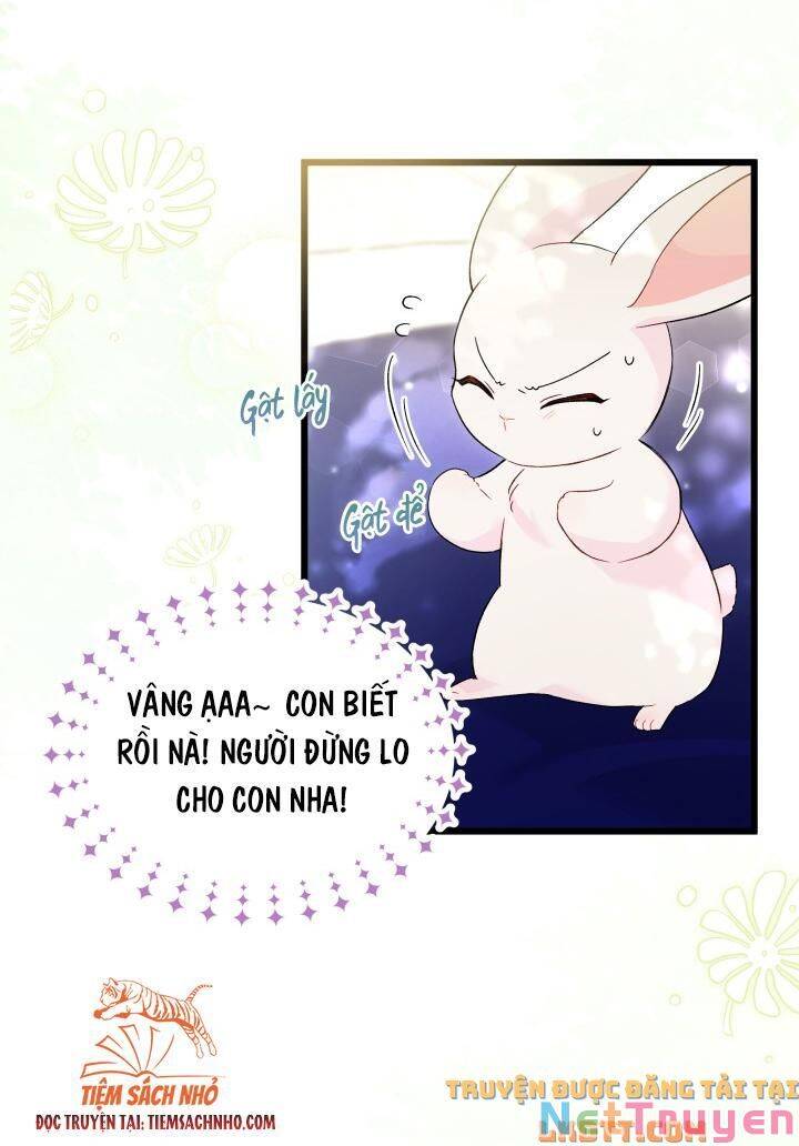 Mối Quan Hệ Cộng Sinh Giữa Báo Đen Và Thỏ Trắng: Chapter 58