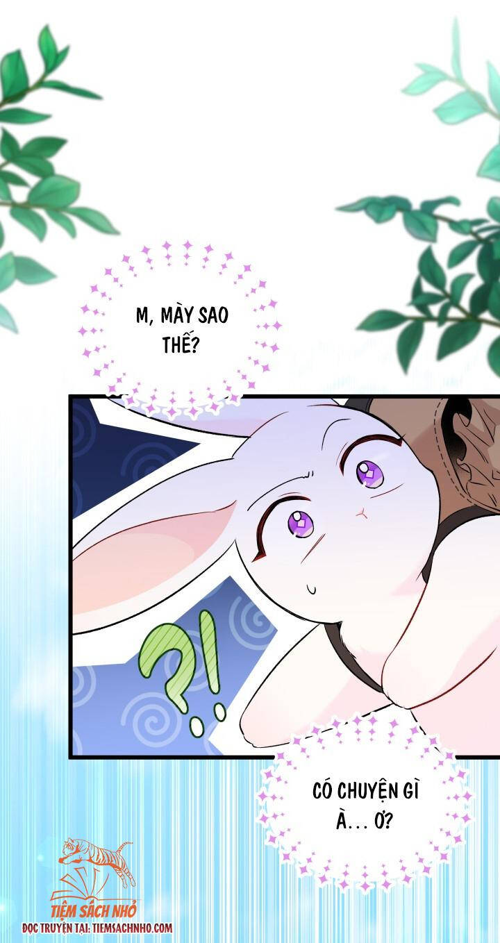 Mối Quan Hệ Cộng Sinh Giữa Báo Đen Và Thỏ Trắng: Chapter 60.5