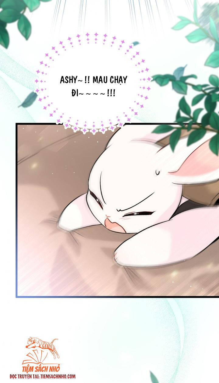 Mối Quan Hệ Cộng Sinh Giữa Báo Đen Và Thỏ Trắng: Chapter 60