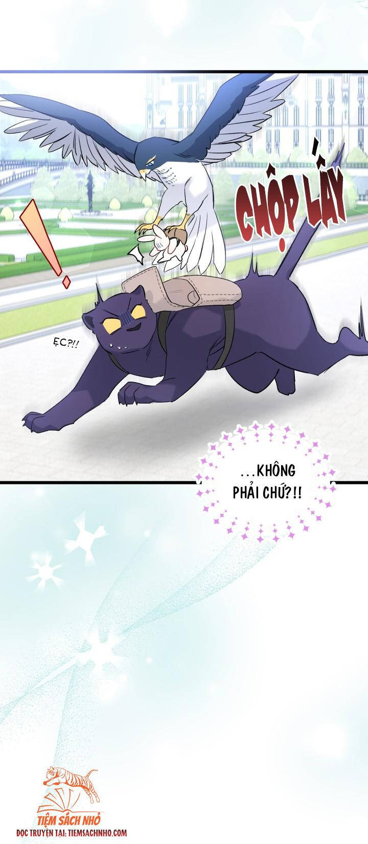 Mối Quan Hệ Cộng Sinh Giữa Báo Đen Và Thỏ Trắng: Chapter 60