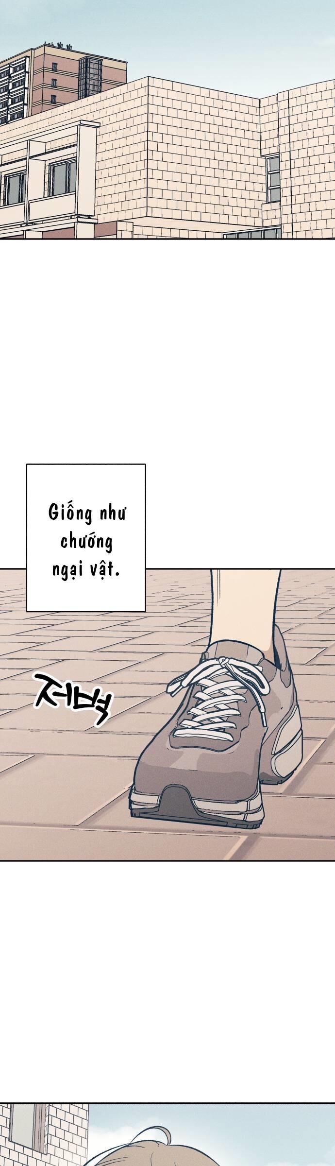 Mối Tình Đầu Đáng Ghét: Chapter 62