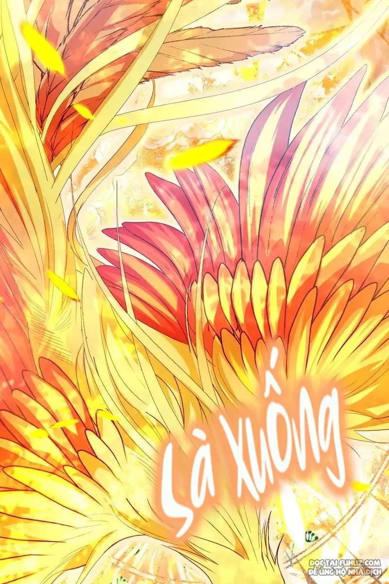 Một Ngày Nọ Bỗng Dưng Cha Xuất Hiện: Chapter 27