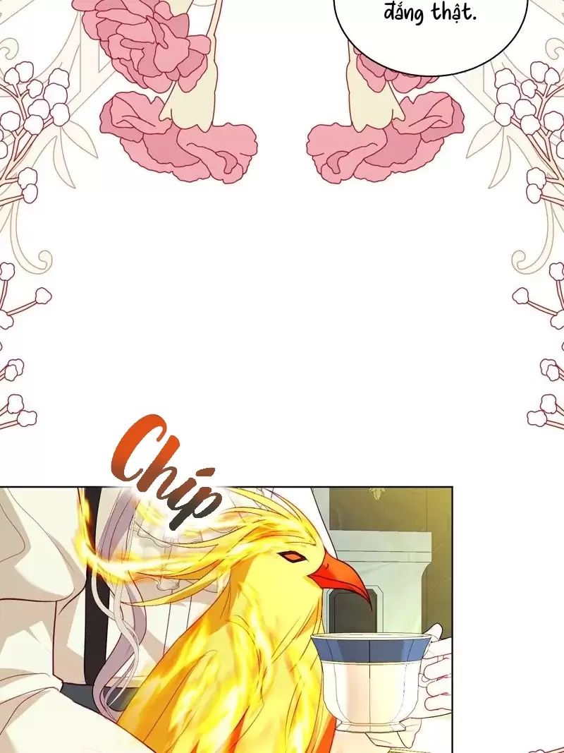 Một Ngày Nọ Bỗng Dưng Cha Xuất Hiện: Chapter 51