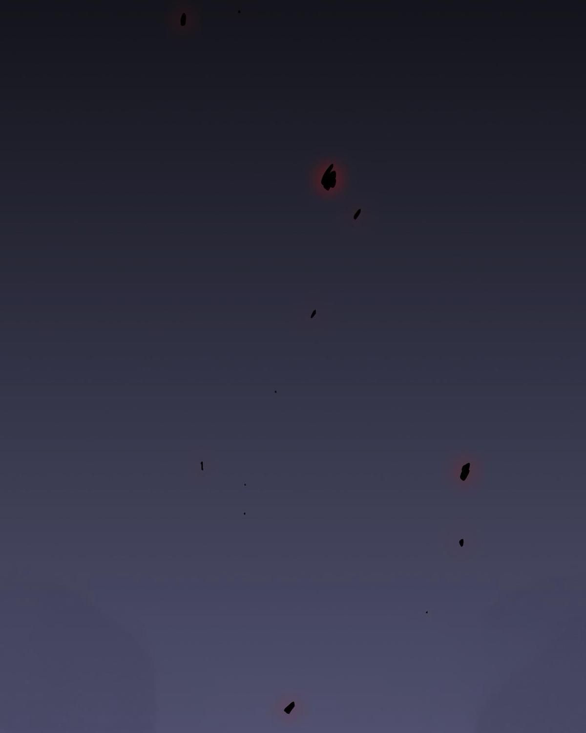 Năm Bạn Mèo: Chapter 19