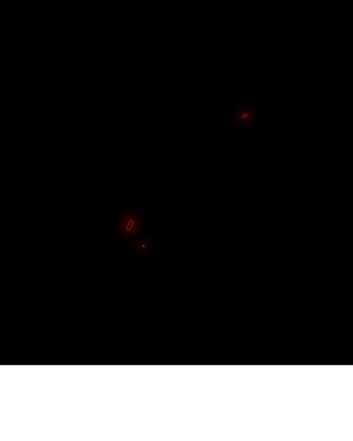 Năm Bạn Mèo: Chapter 19