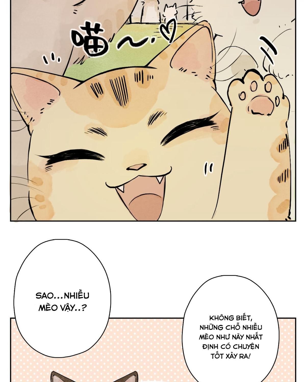 Năm Bạn Mèo: Chapter 25