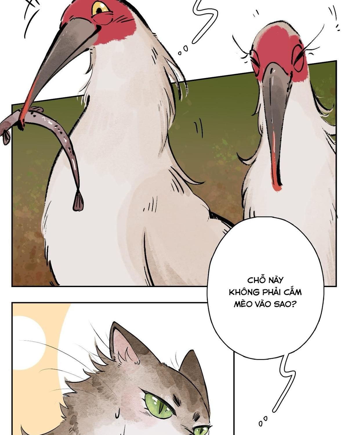 Năm Bạn Mèo: Chapter 25