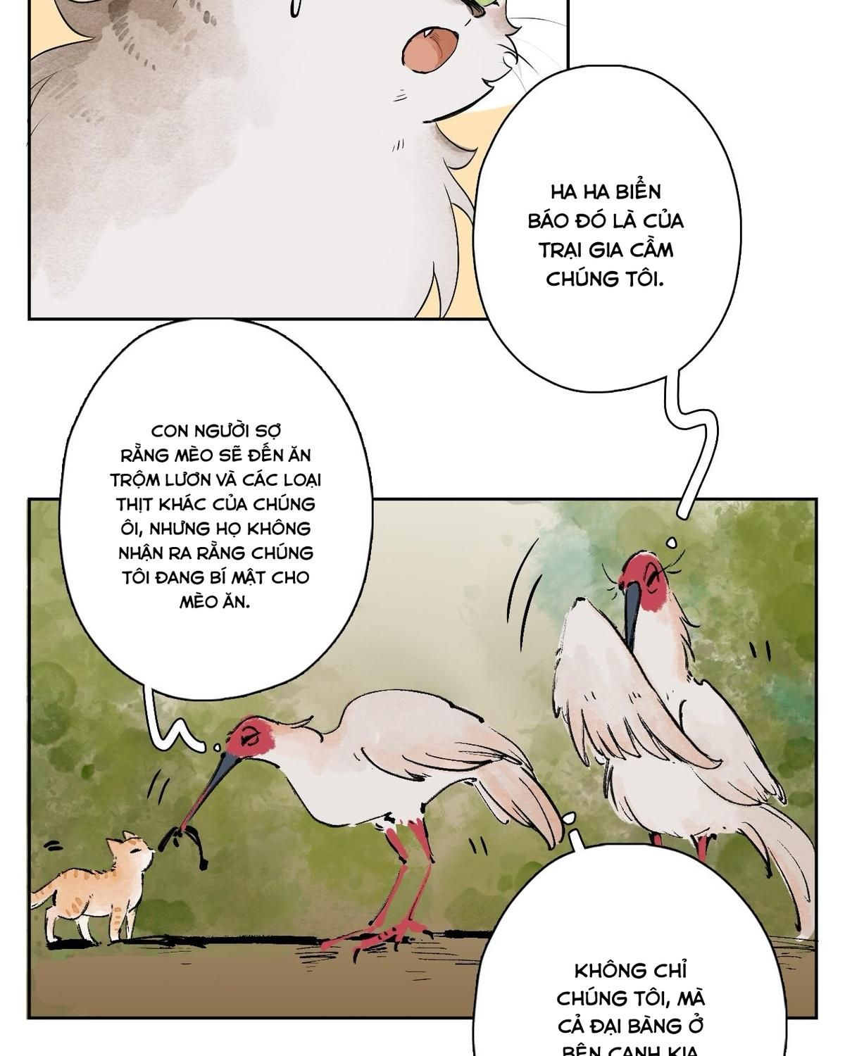 Năm Bạn Mèo: Chapter 25
