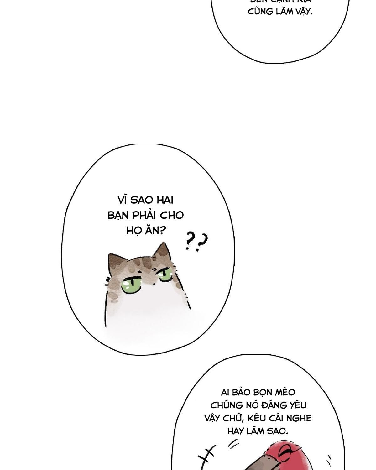 Năm Bạn Mèo: Chapter 25