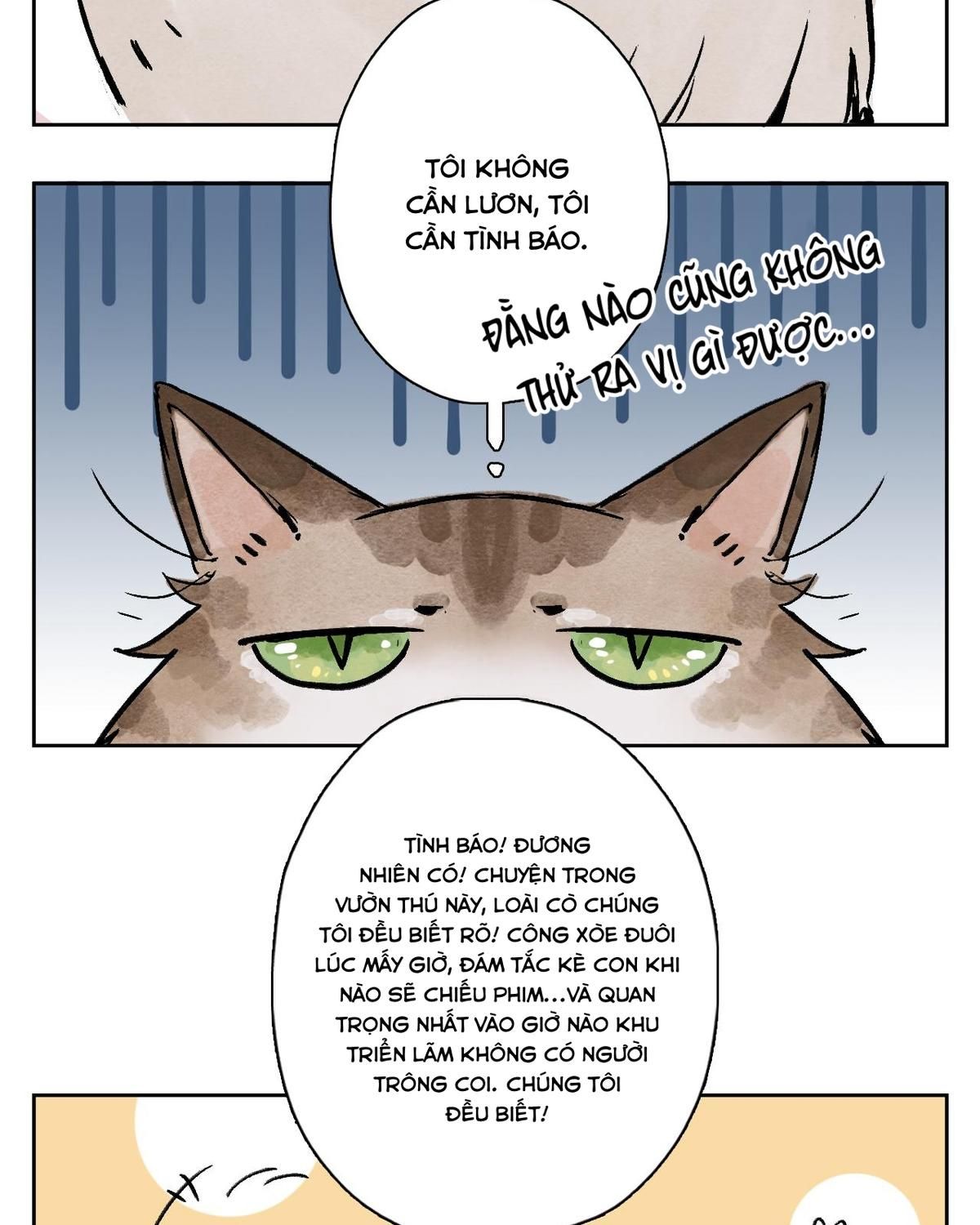 Năm Bạn Mèo: Chapter 25