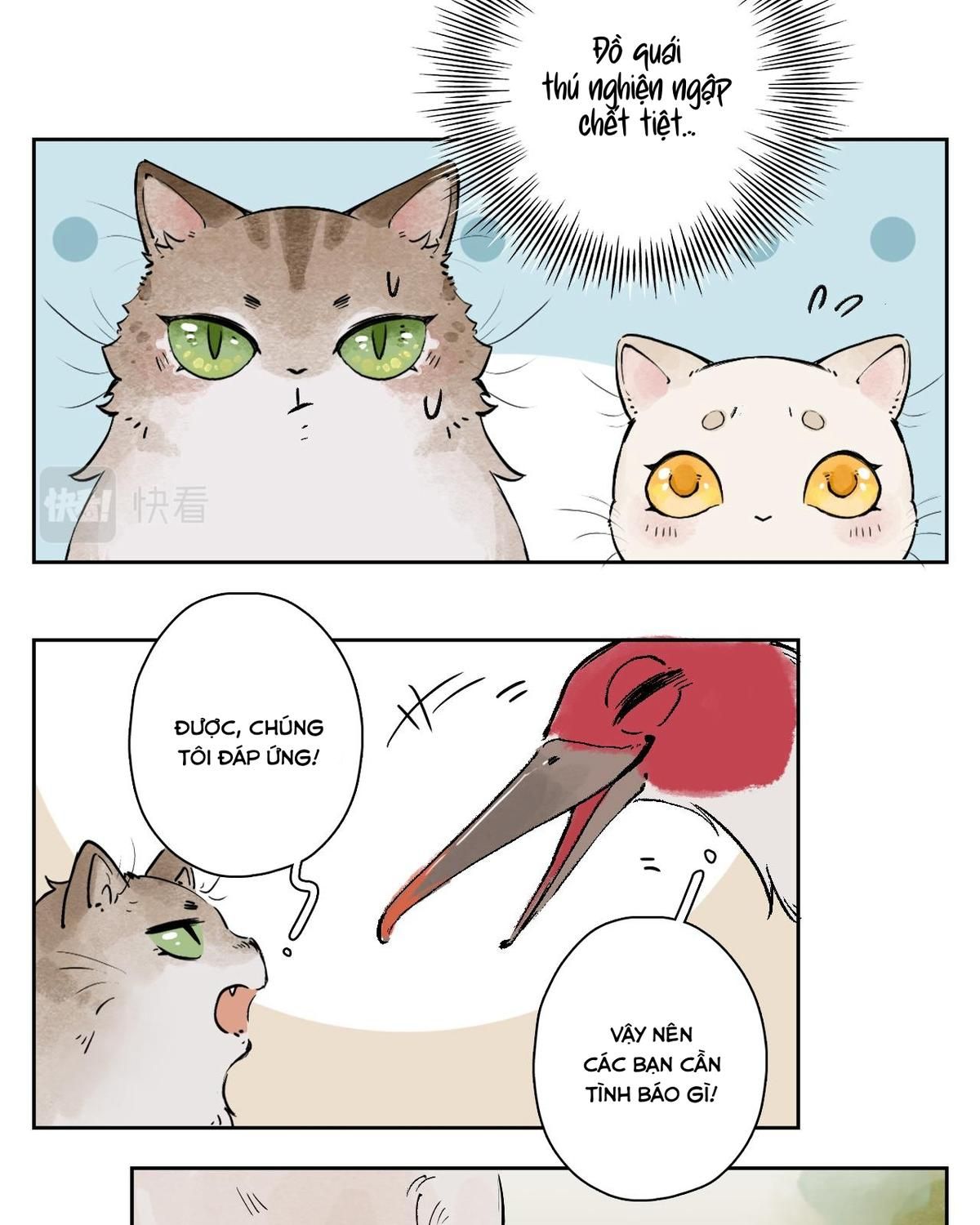 Năm Bạn Mèo: Chapter 25