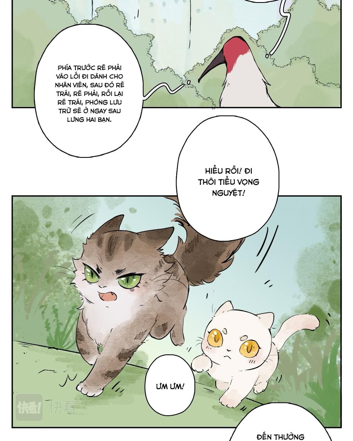 Năm Bạn Mèo: Chapter 25