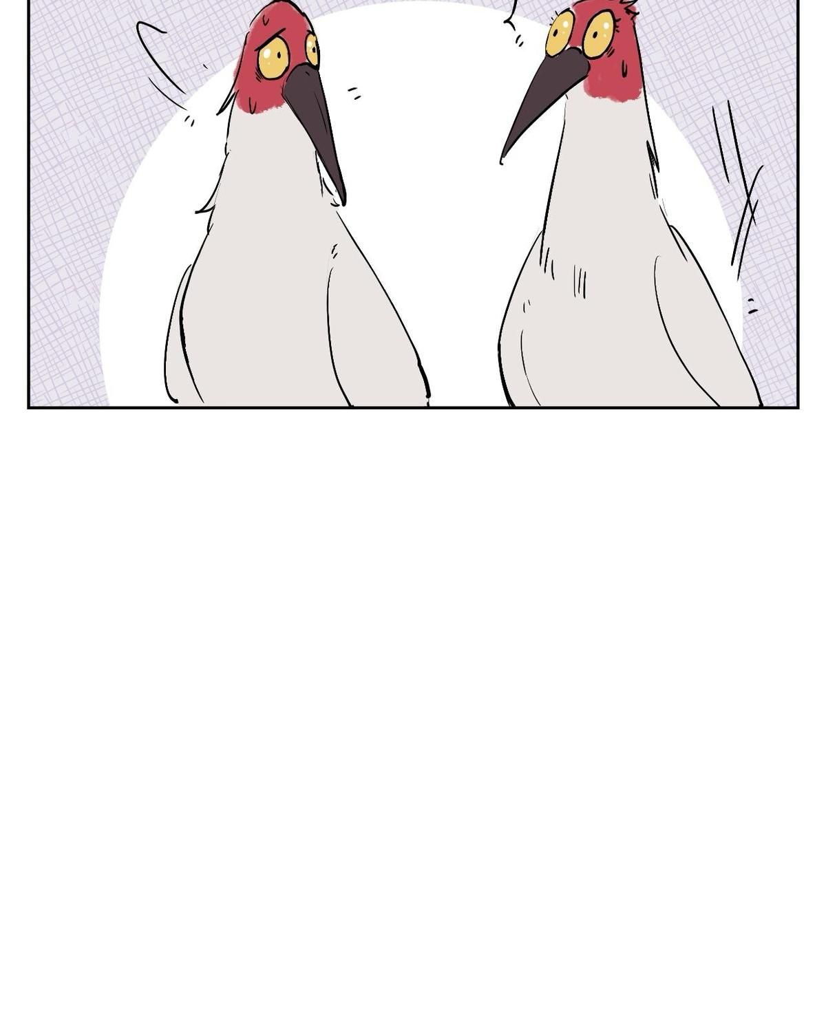 Năm Bạn Mèo: Chapter 25