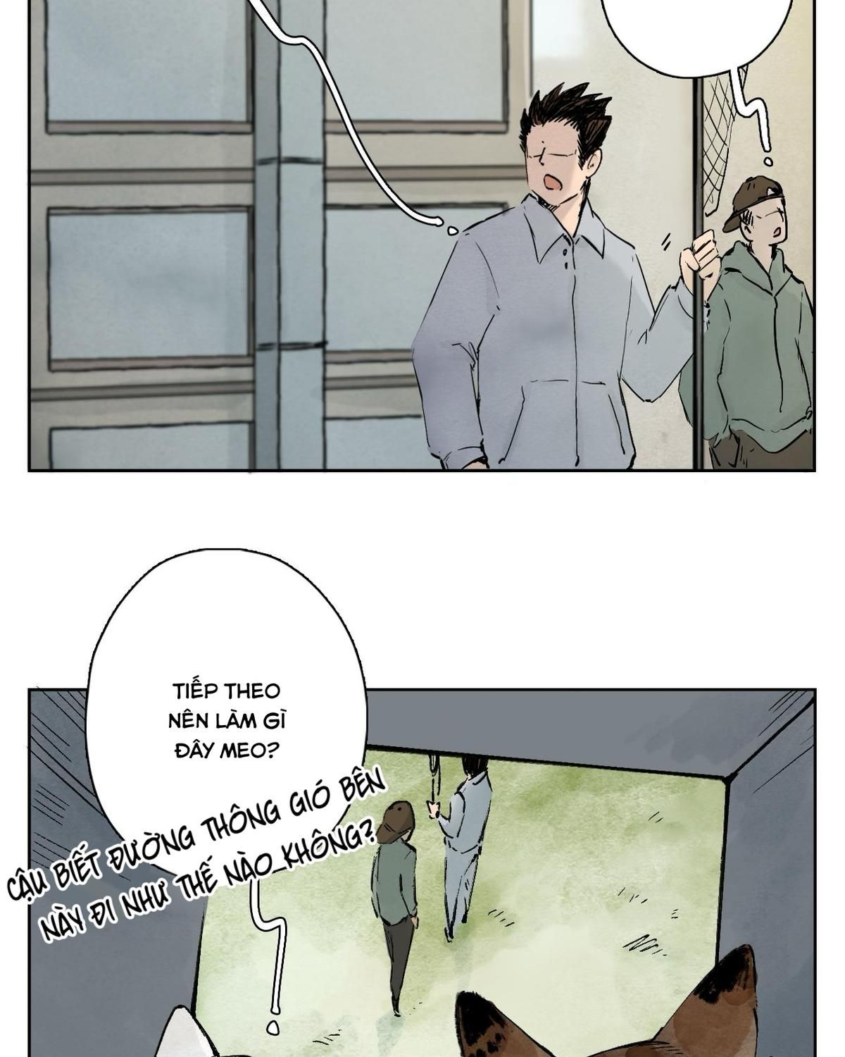 Năm Bạn Mèo: Chapter 25