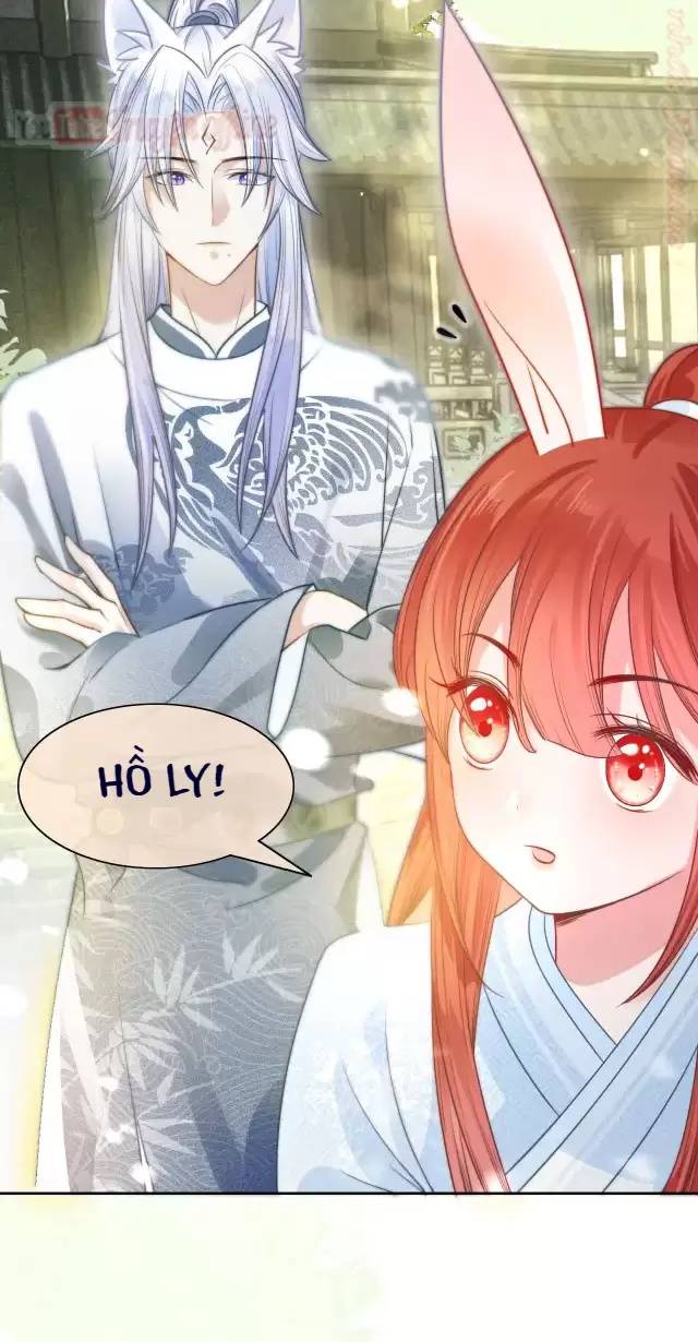 NAM CHỦ HẮC HÓA NUÔI DƯỠNG THỎ ONLINE: Chapter 10