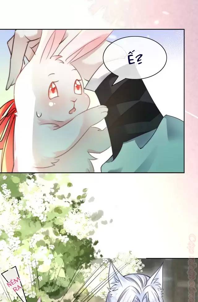 NAM CHỦ HẮC HÓA NUÔI DƯỠNG THỎ ONLINE: Chapter 10