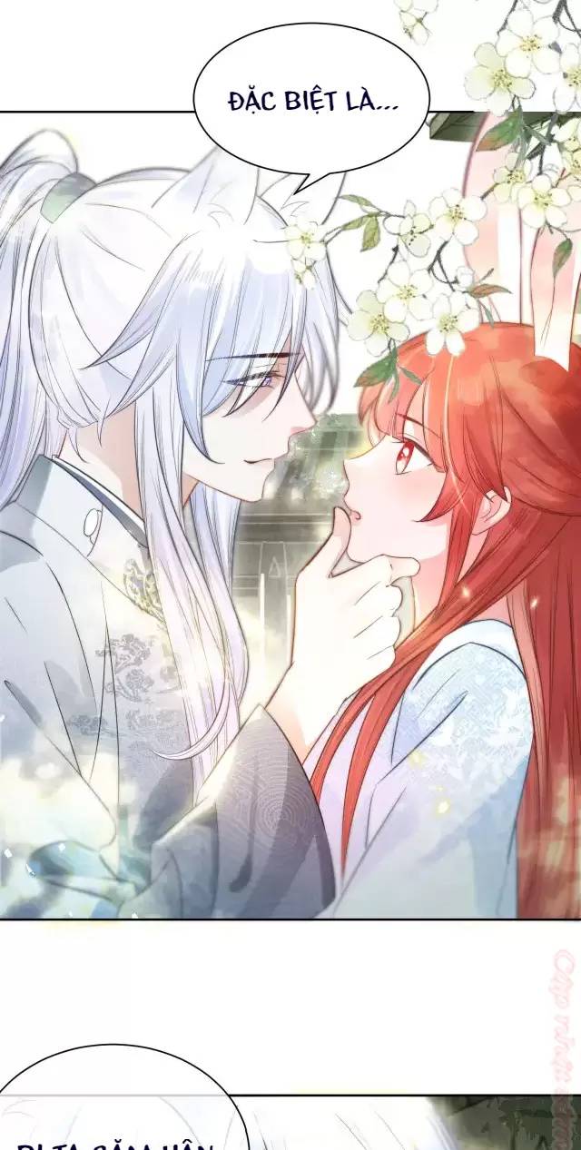 NAM CHỦ HẮC HÓA NUÔI DƯỠNG THỎ ONLINE: Chapter 10