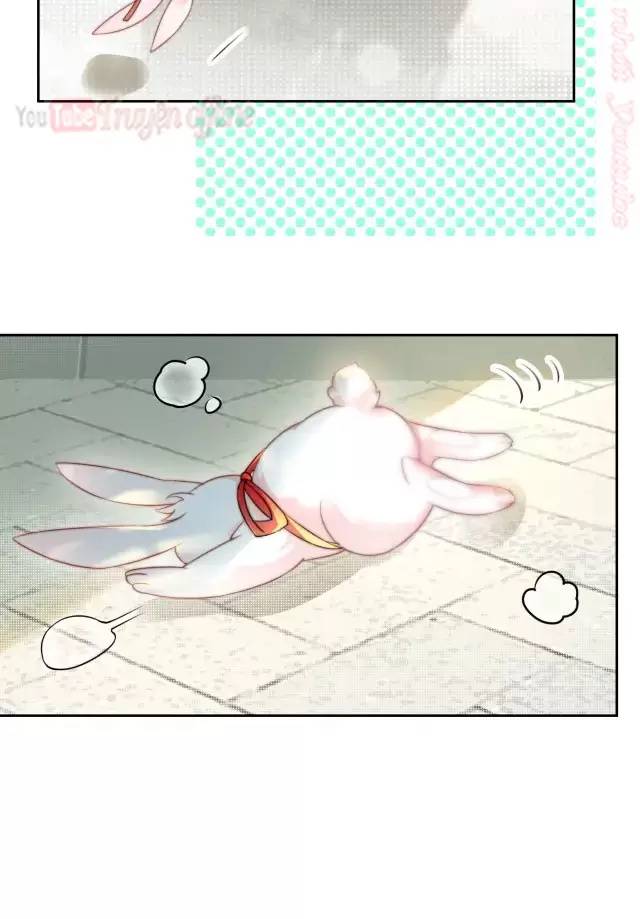 NAM CHỦ HẮC HÓA NUÔI DƯỠNG THỎ ONLINE: Chapter 10