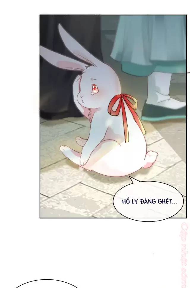 NAM CHỦ HẮC HÓA NUÔI DƯỠNG THỎ ONLINE: Chapter 10