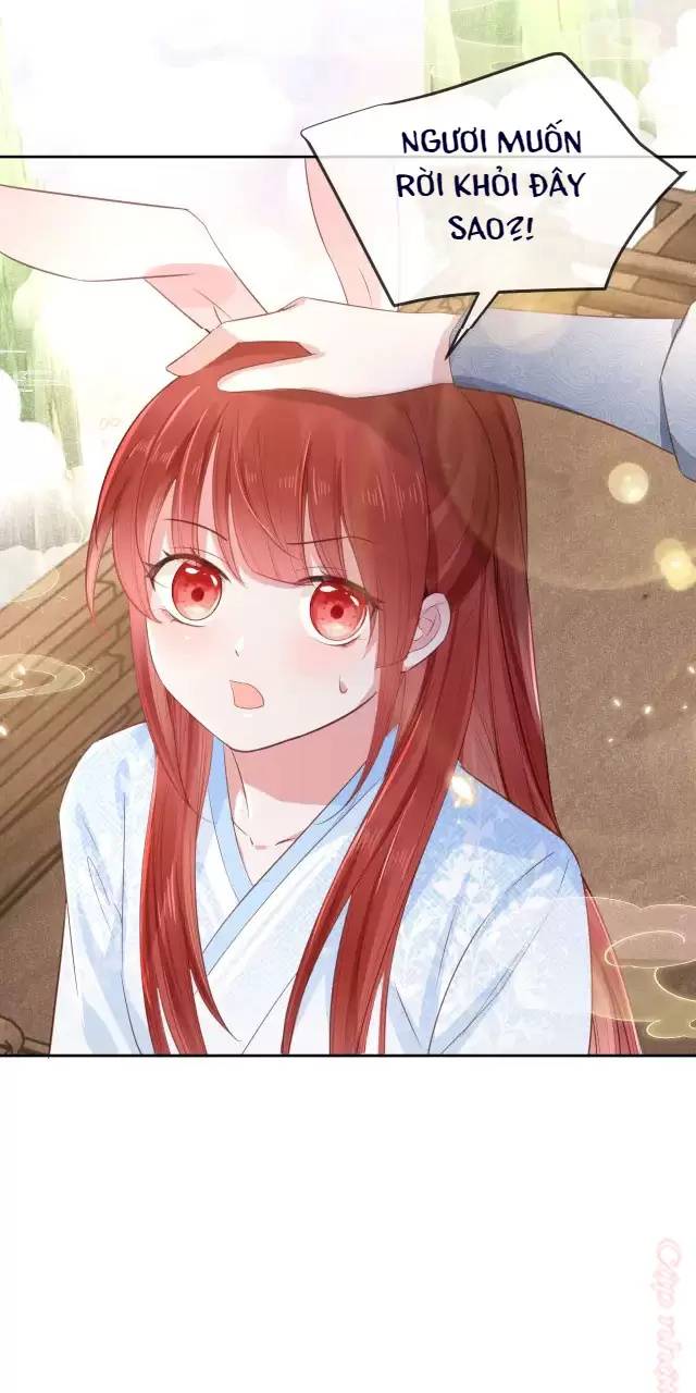 NAM CHỦ HẮC HÓA NUÔI DƯỠNG THỎ ONLINE: Chapter 11