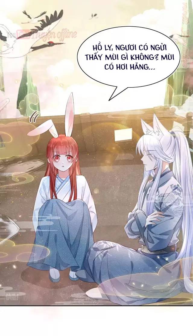 NAM CHỦ HẮC HÓA NUÔI DƯỠNG THỎ ONLINE: Chapter 11