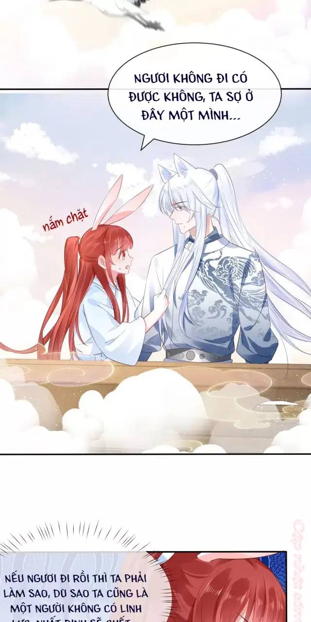 NAM CHỦ HẮC HÓA NUÔI DƯỠNG THỎ ONLINE: Chapter 12