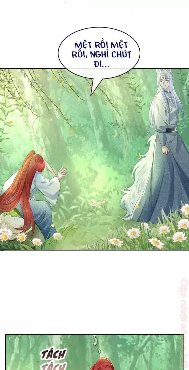 NAM CHỦ HẮC HÓA NUÔI DƯỠNG THỎ ONLINE: Chapter 14