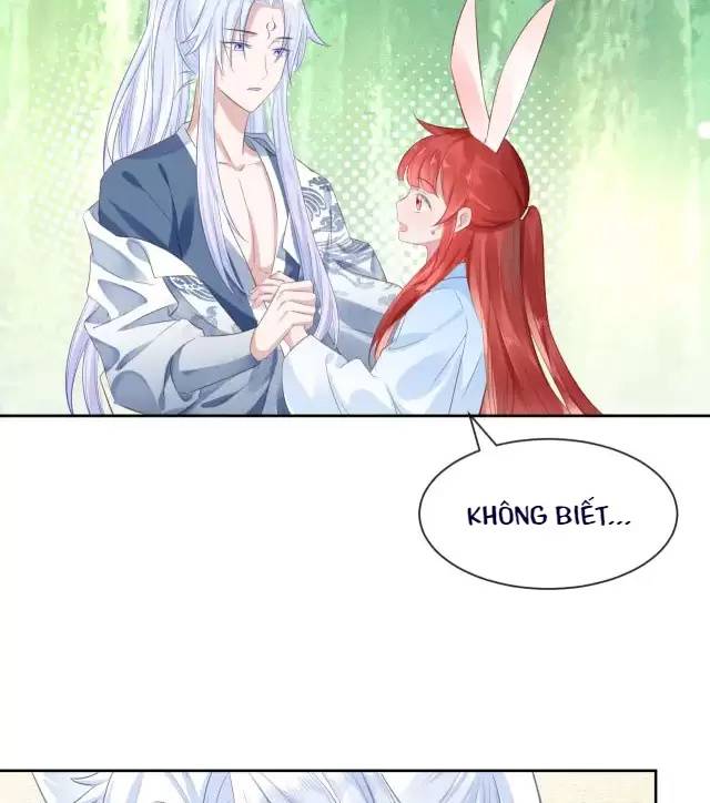 NAM CHỦ HẮC HÓA NUÔI DƯỠNG THỎ ONLINE: Chapter 15