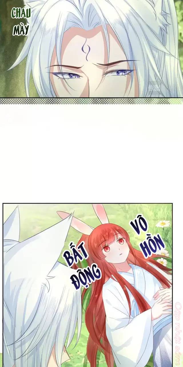 NAM CHỦ HẮC HÓA NUÔI DƯỠNG THỎ ONLINE: Chapter 15
