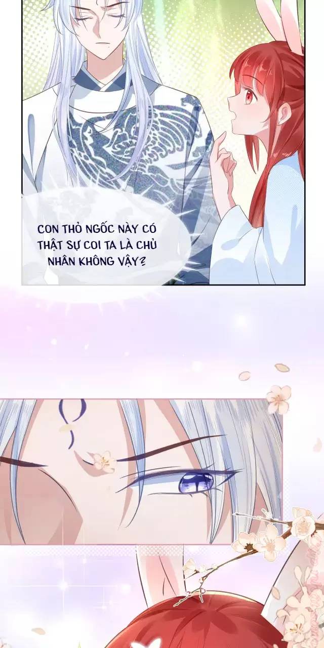 NAM CHỦ HẮC HÓA NUÔI DƯỠNG THỎ ONLINE: Chapter 15