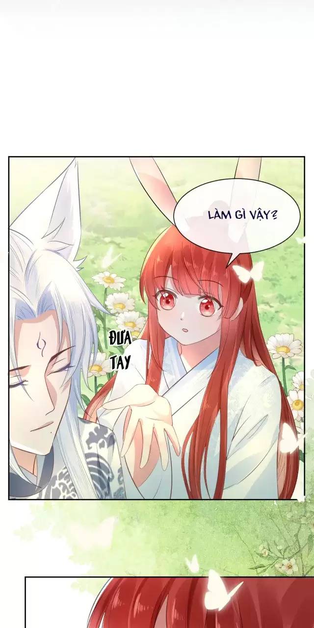 NAM CHỦ HẮC HÓA NUÔI DƯỠNG THỎ ONLINE: Chapter 15