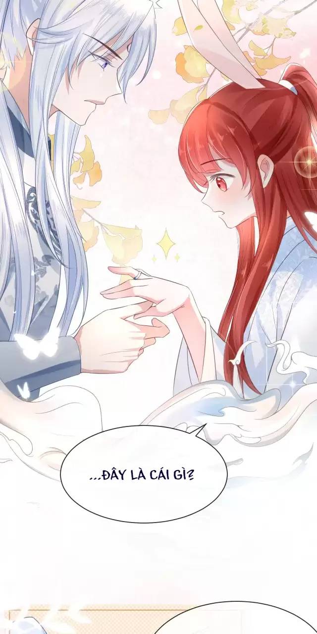 NAM CHỦ HẮC HÓA NUÔI DƯỠNG THỎ ONLINE: Chapter 15