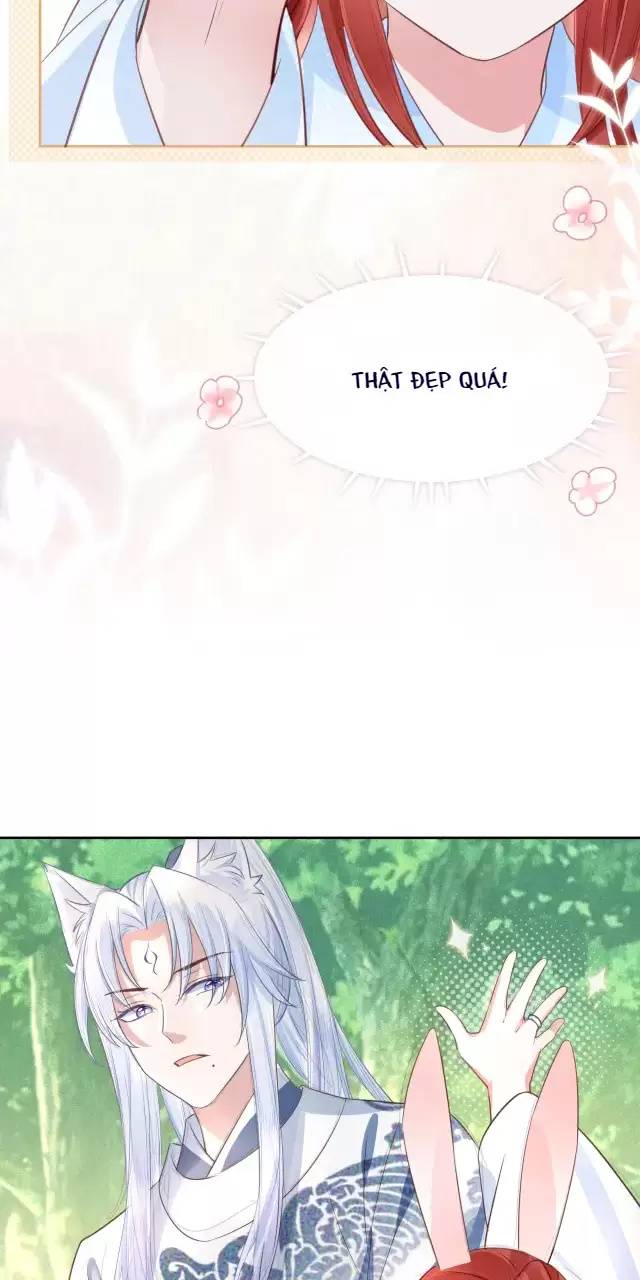 NAM CHỦ HẮC HÓA NUÔI DƯỠNG THỎ ONLINE: Chapter 15