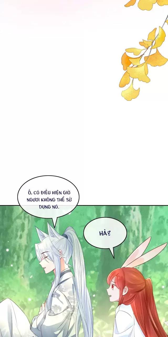 NAM CHỦ HẮC HÓA NUÔI DƯỠNG THỎ ONLINE: Chapter 15