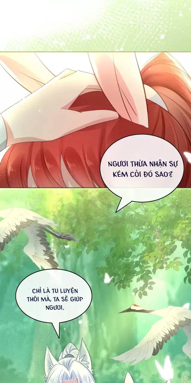 NAM CHỦ HẮC HÓA NUÔI DƯỠNG THỎ ONLINE: Chapter 15