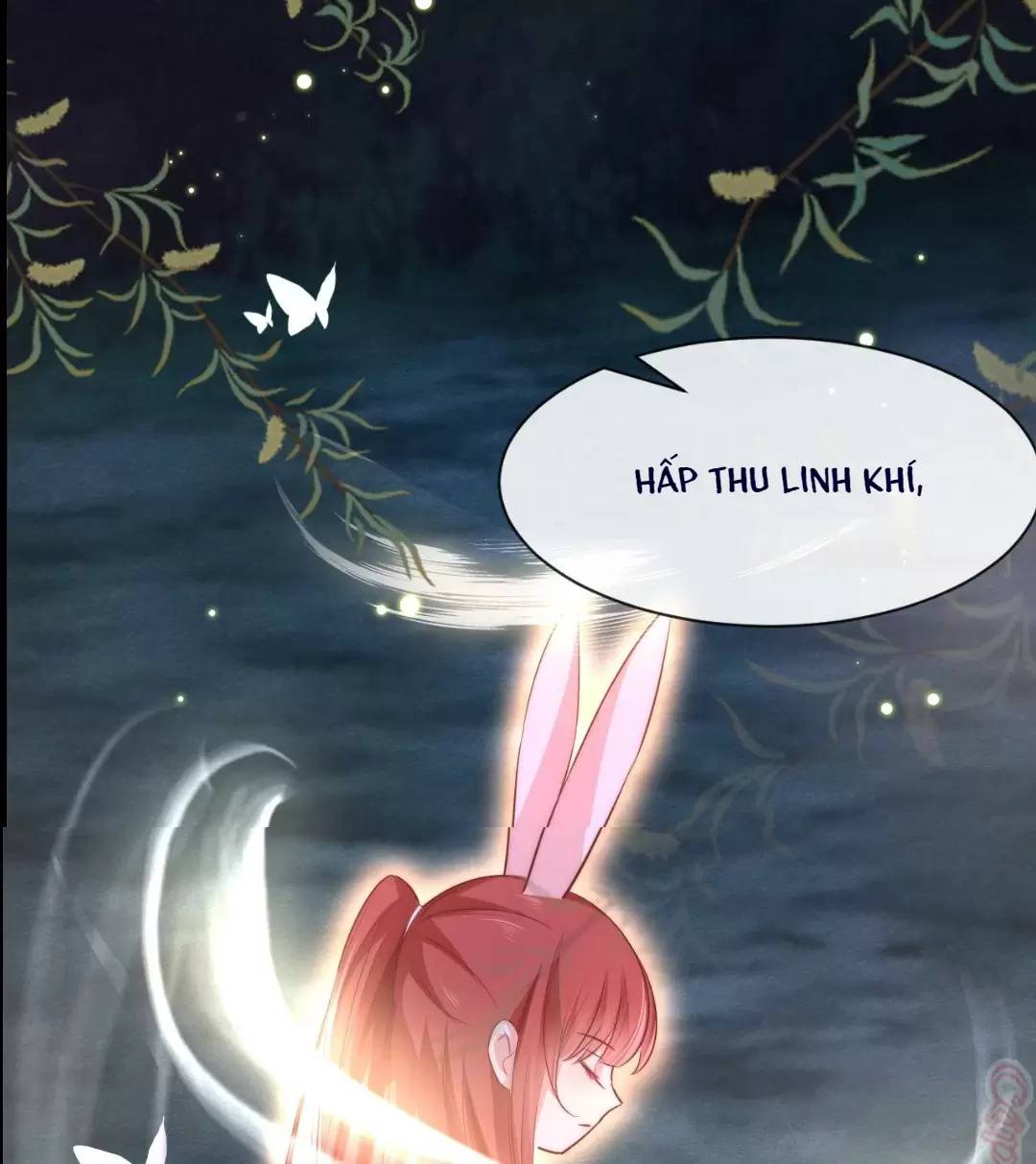 NAM CHỦ HẮC HÓA NUÔI DƯỠNG THỎ ONLINE: Chapter 19