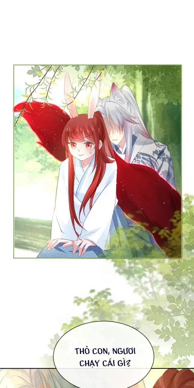 NAM CHỦ HẮC HÓA NUÔI DƯỠNG THỎ ONLINE: Chapter 22