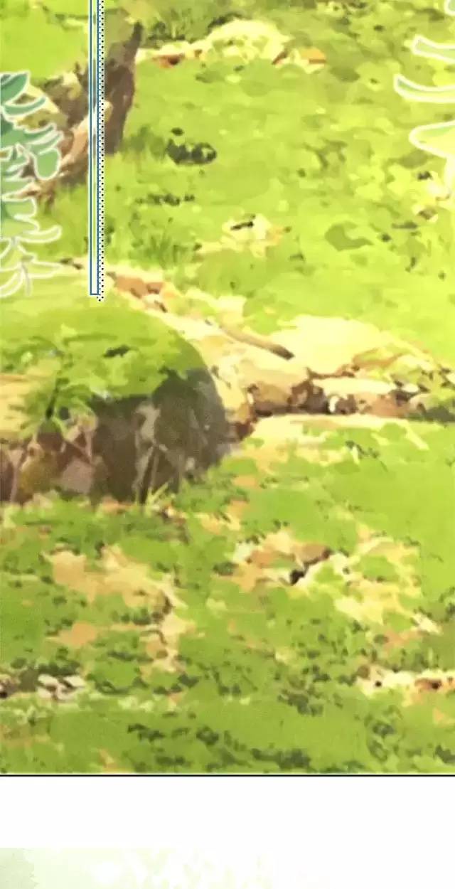 NAM CHỦ HẮC HÓA NUÔI DƯỠNG THỎ ONLINE: Chapter 23