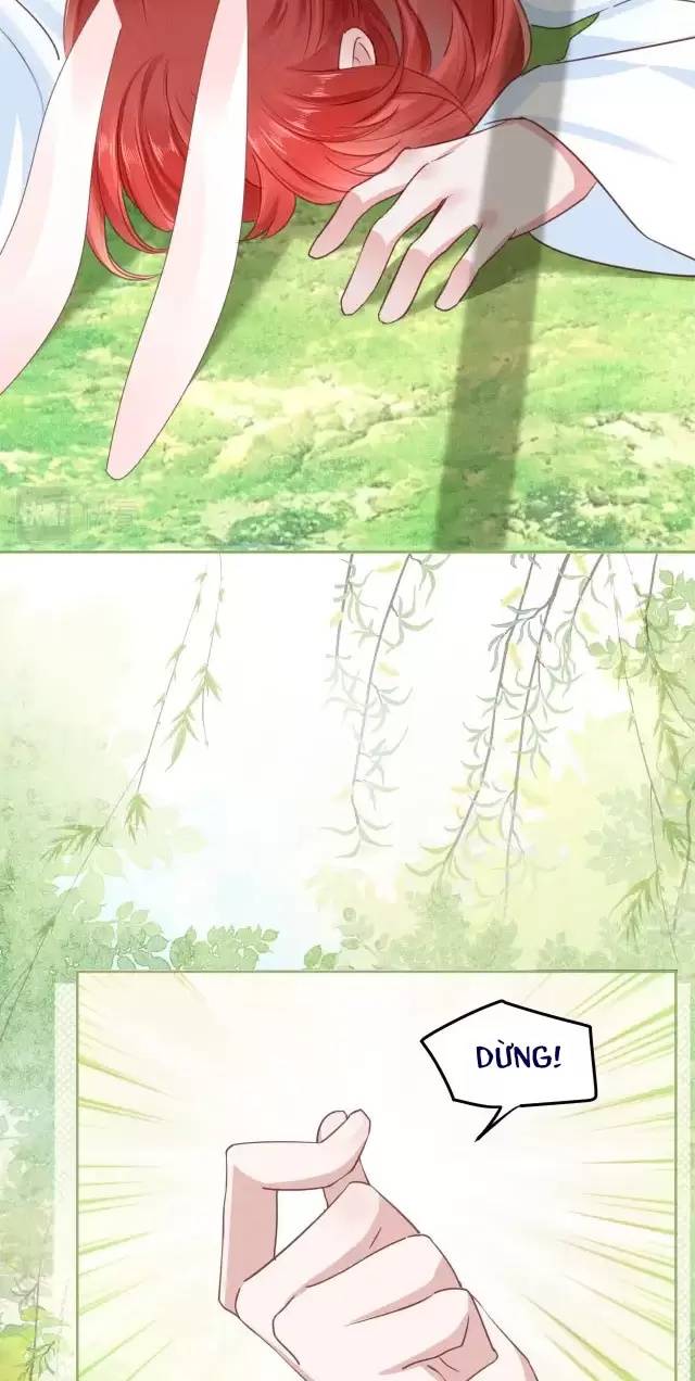 NAM CHỦ HẮC HÓA NUÔI DƯỠNG THỎ ONLINE: Chapter 24