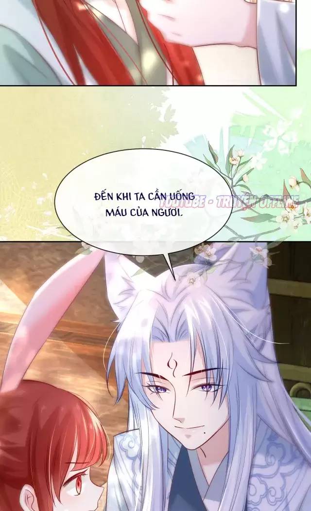 NAM CHỦ HẮC HÓA NUÔI DƯỠNG THỎ ONLINE: Chapter 29