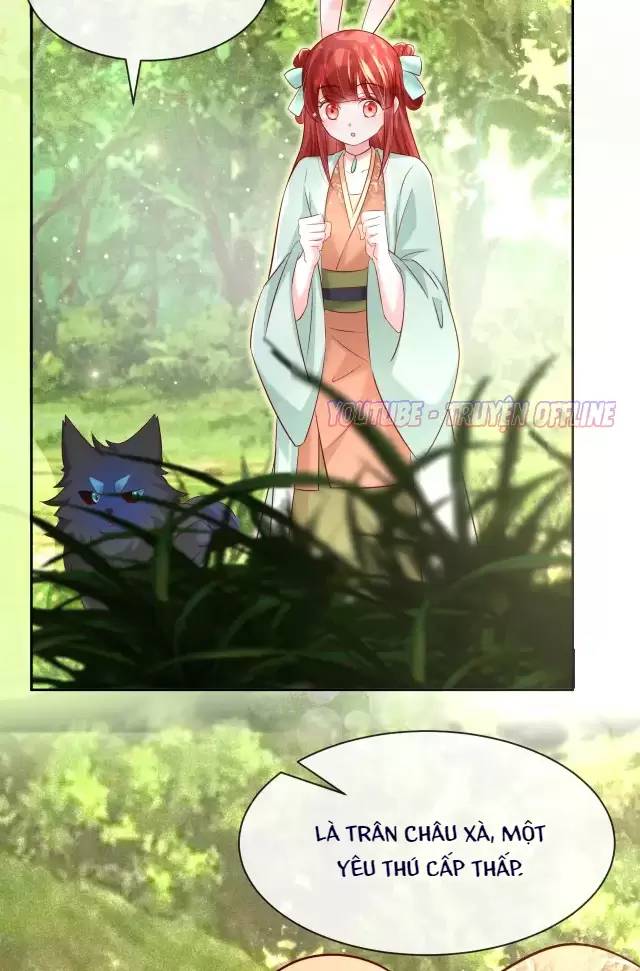 NAM CHỦ HẮC HÓA NUÔI DƯỠNG THỎ ONLINE: Chapter 30