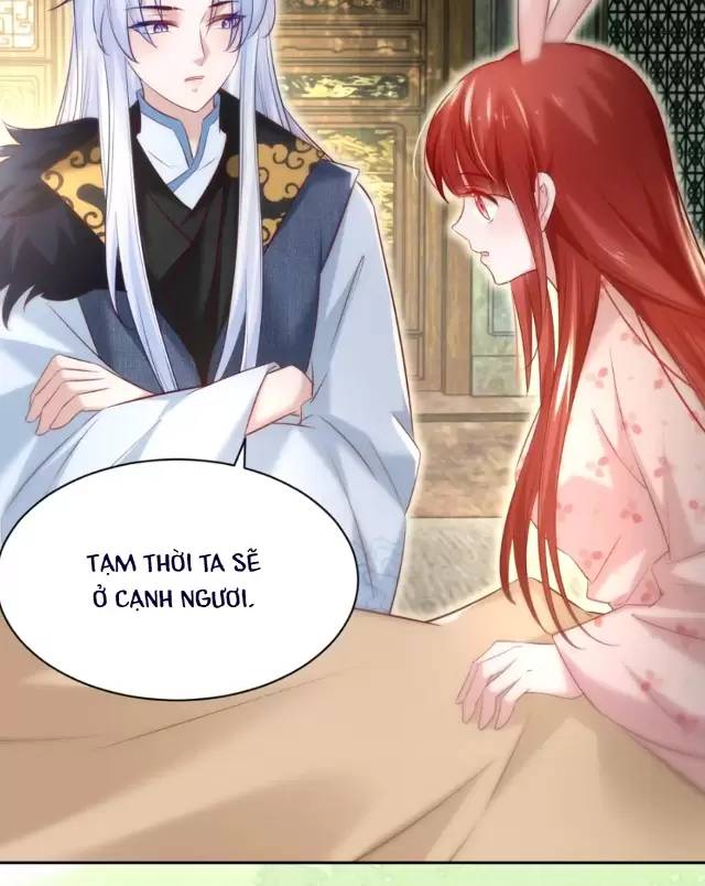 NAM CHỦ HẮC HÓA NUÔI DƯỠNG THỎ ONLINE: Chapter 33