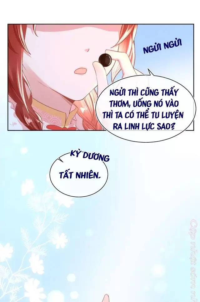 NAM CHỦ HẮC HÓA NUÔI DƯỠNG THỎ ONLINE: Chapter 7