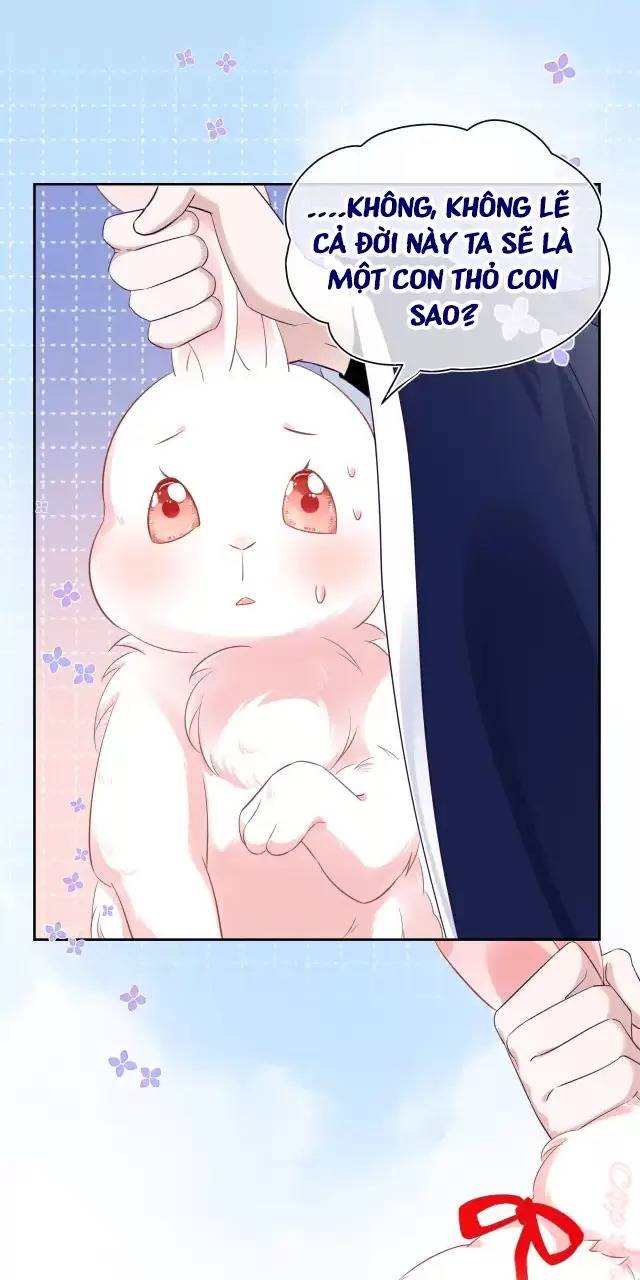 NAM CHỦ HẮC HÓA NUÔI DƯỠNG THỎ ONLINE: Chapter 7