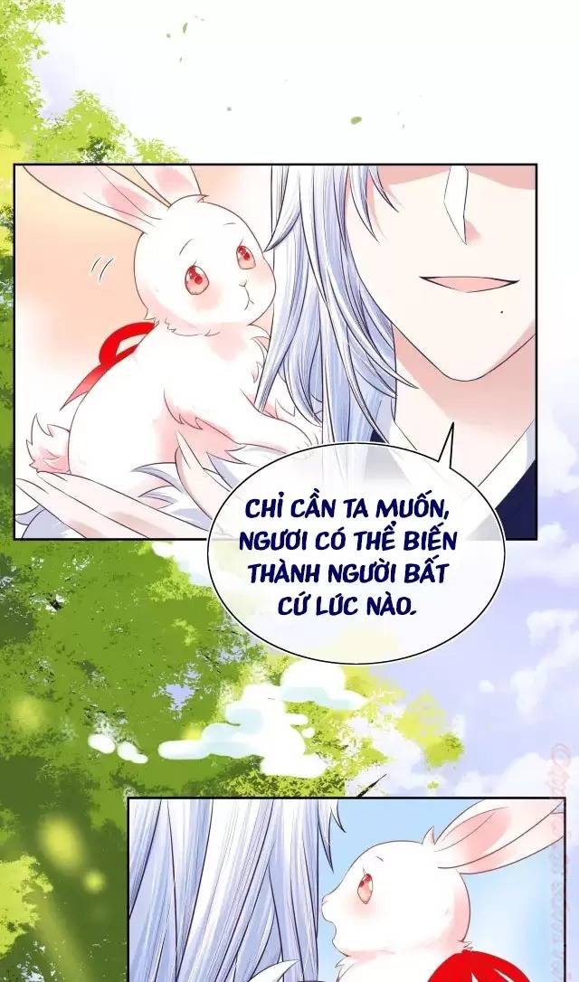 NAM CHỦ HẮC HÓA NUÔI DƯỠNG THỎ ONLINE: Chapter 7