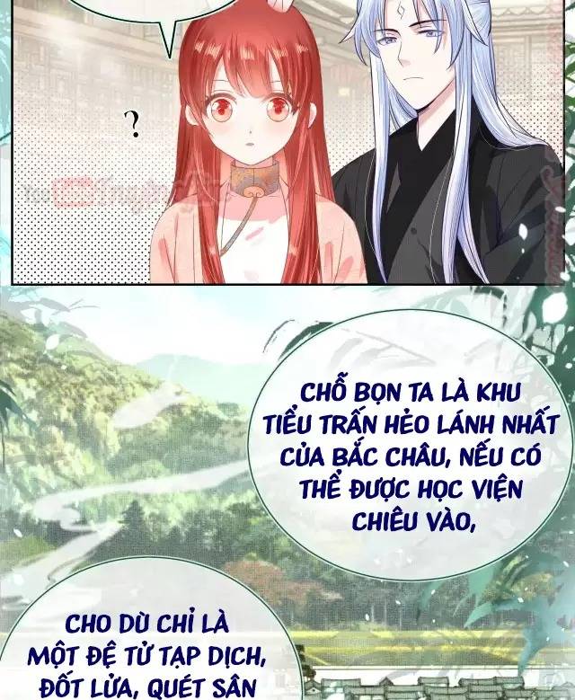 NAM CHỦ HẮC HÓA NUÔI DƯỠNG THỎ ONLINE: Chapter 8