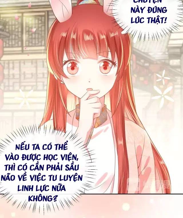 NAM CHỦ HẮC HÓA NUÔI DƯỠNG THỎ ONLINE: Chapter 8