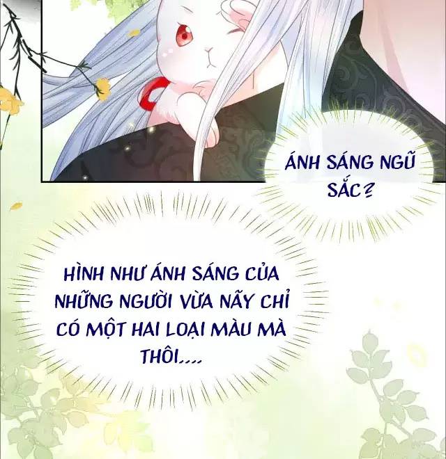 NAM CHỦ HẮC HÓA NUÔI DƯỠNG THỎ ONLINE: Chapter 9