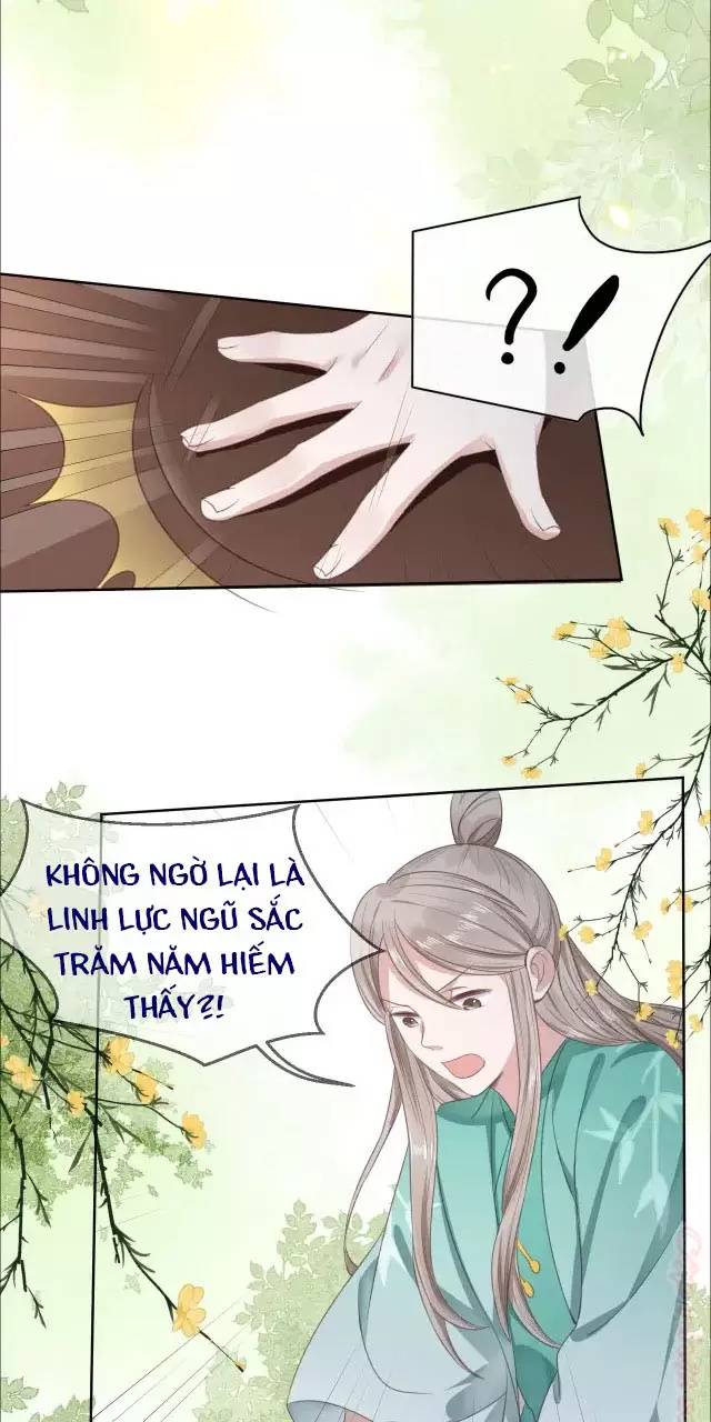 NAM CHỦ HẮC HÓA NUÔI DƯỠNG THỎ ONLINE: Chapter 9