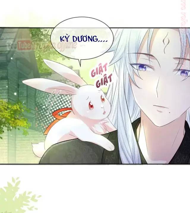 NAM CHỦ HẮC HÓA NUÔI DƯỠNG THỎ ONLINE: Chapter 9